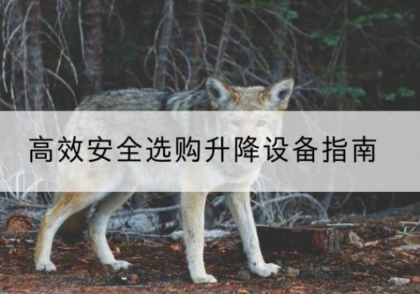 安岳升降货梯厂家推荐-*安全选购升降设备指南