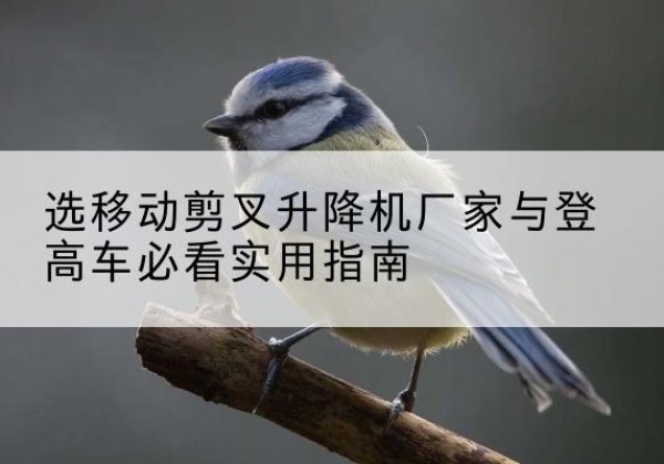 安岳电动升降机厂家-选移动剪叉升降机厂家与登高车必看实用指南