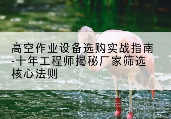 安岳剪叉式升降机厂家-高空作业设备选购实战指南-十年工程师揭秘厂家筛选核心法则